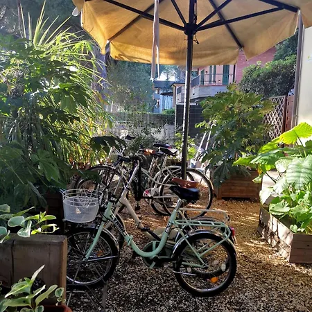 ホテル Casa Dorita - Free Breakfast Corner 8-12 チェルヴィア