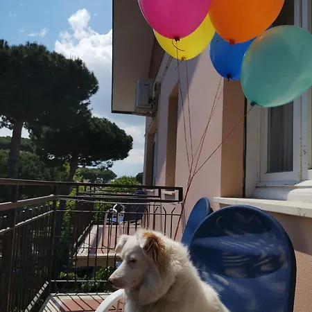 Casa Dorita Hotel Cervia