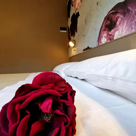 Casa Dorita 2* Cervia