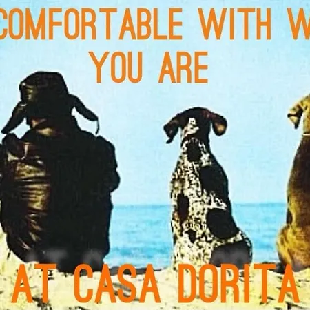 מלון Casa Dorita - Free Breakfast Corner 8-12