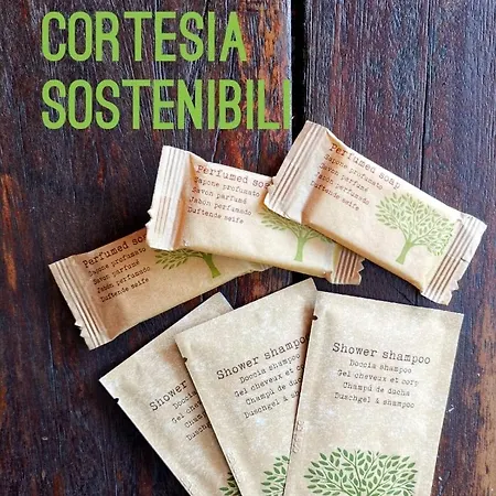 מלון Casa Dorita - Free Breakfast Corner 8-12 2*